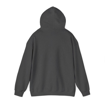 AZSKINZ unisex logo hoodie